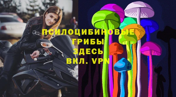 ешки Абинск