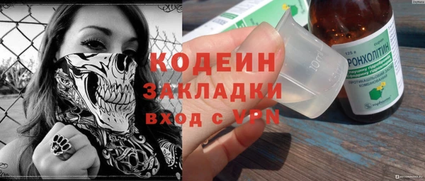 прущие грибы Кукмор