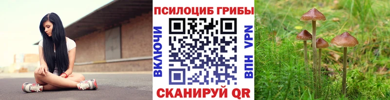 Псилоцибиновые грибы MAGIC MUSHROOMS  hydra зеркало  Калининград 